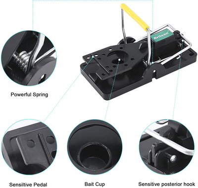 Mouse Trap Mice Trap That Work Human Power Mouse Killer Mouse Catcher Quick Effective Sanitary 6 Pack