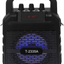 Karaoke Machine & Portable PA Speaker System for Kids & Adults - with Lights, Microphone, Bluetooth