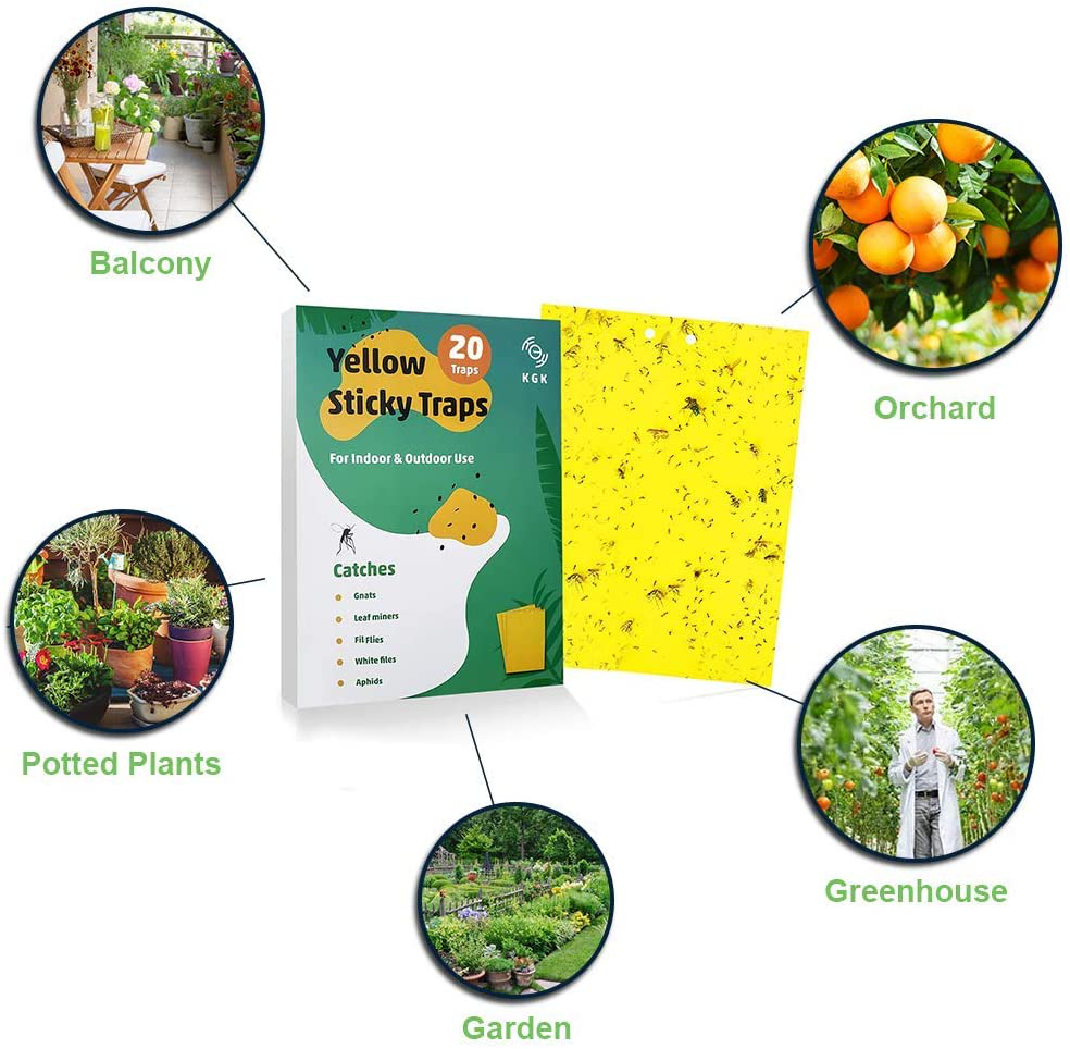 KGK Sticky Traps - 20 Pack, Dual-Sided Yellow Sticky Traps for Fungus Gnats, Aphids, and Other Flying Plant Insects - 6x8 Inches (Twist Ties and Holders Included)