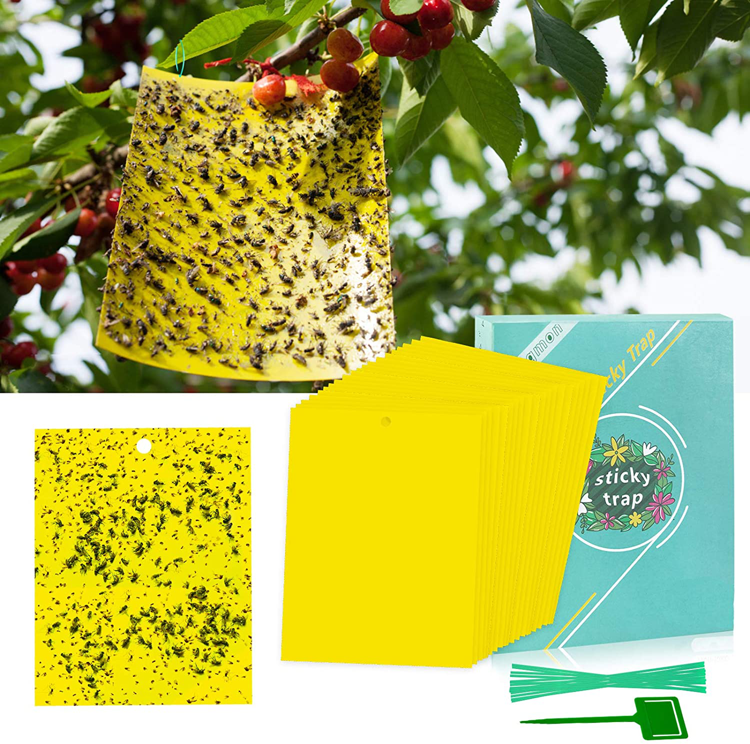 48 Pcs Fruit Fly Trap, Sticky Gnat Trap Killer for Indoor and Outdoor to Use, Insect Catcher for Flying Plant Insect Such as Mosquitos, Aphids, Leafminers, Fungus Gnats