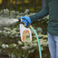 Ortho Home Defense Backyard Mosquito and Bug Killer Area Fogger 16 oz.