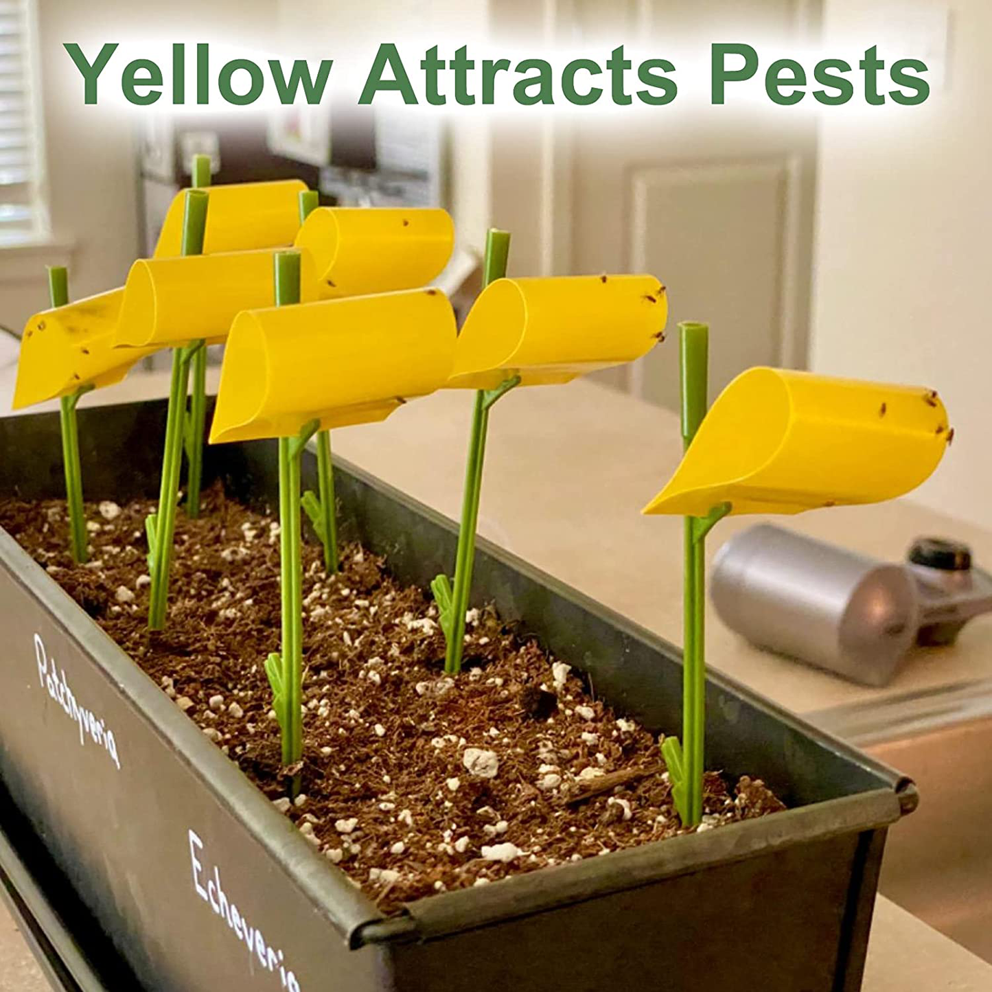 Garsum Sticky Houseplant Traps Gnat Yellow Insect Trap Indoor Fruit Fly Stakes Trap(21 Traps)