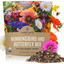 Wildflower Seeds Butterfly and Humming Bird Mix - Large 1 Ounce Packet 7,500+ Seeds - 23 Open Pollinated Annual and Perennial Species