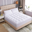 WhatsBedding Waterproof Mattress Pad Twin XL Size Cotton Top Down Alternative Filling Pillowtop Mattress Topper Cover-Fitted Quilted (Waterproof Twin XL)