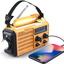 Weather Radio Raynic 5000mAh Solar Hand Crank Emergency Radio 5 Ways Powered AM/FM/SW/NOAA Weather Alert Portable Radio with Flashlight, Reading Lamp, Cellphone Charger and SOS Alarm (Yellow)