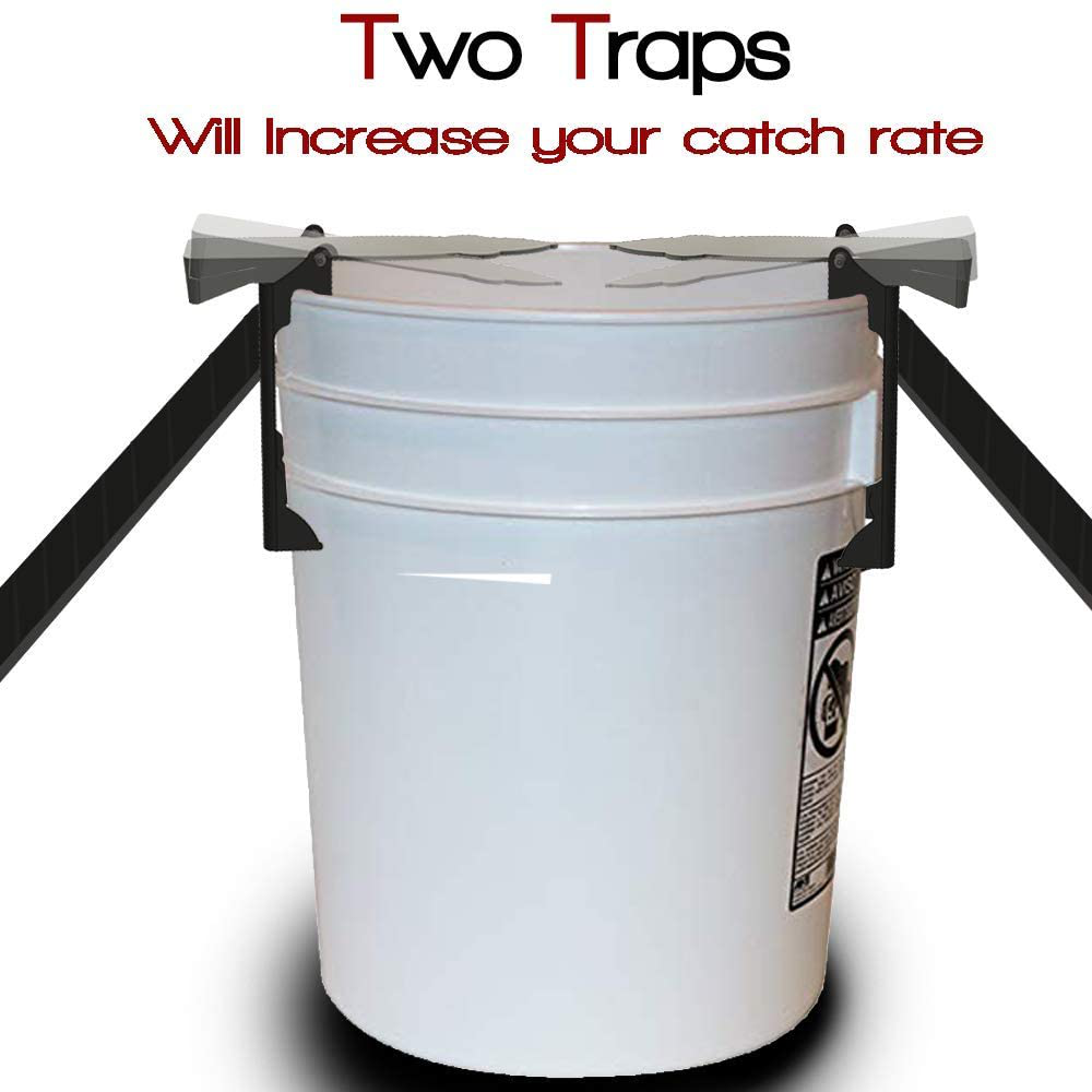 Rinnetraps Walk the Plank Mouse Trap, 4 Pack - Bucket Mouse Trap | 4 Free Ramps Included- Multi Catch , Auto Resetting | Humane | Catch and Release | or Lethal