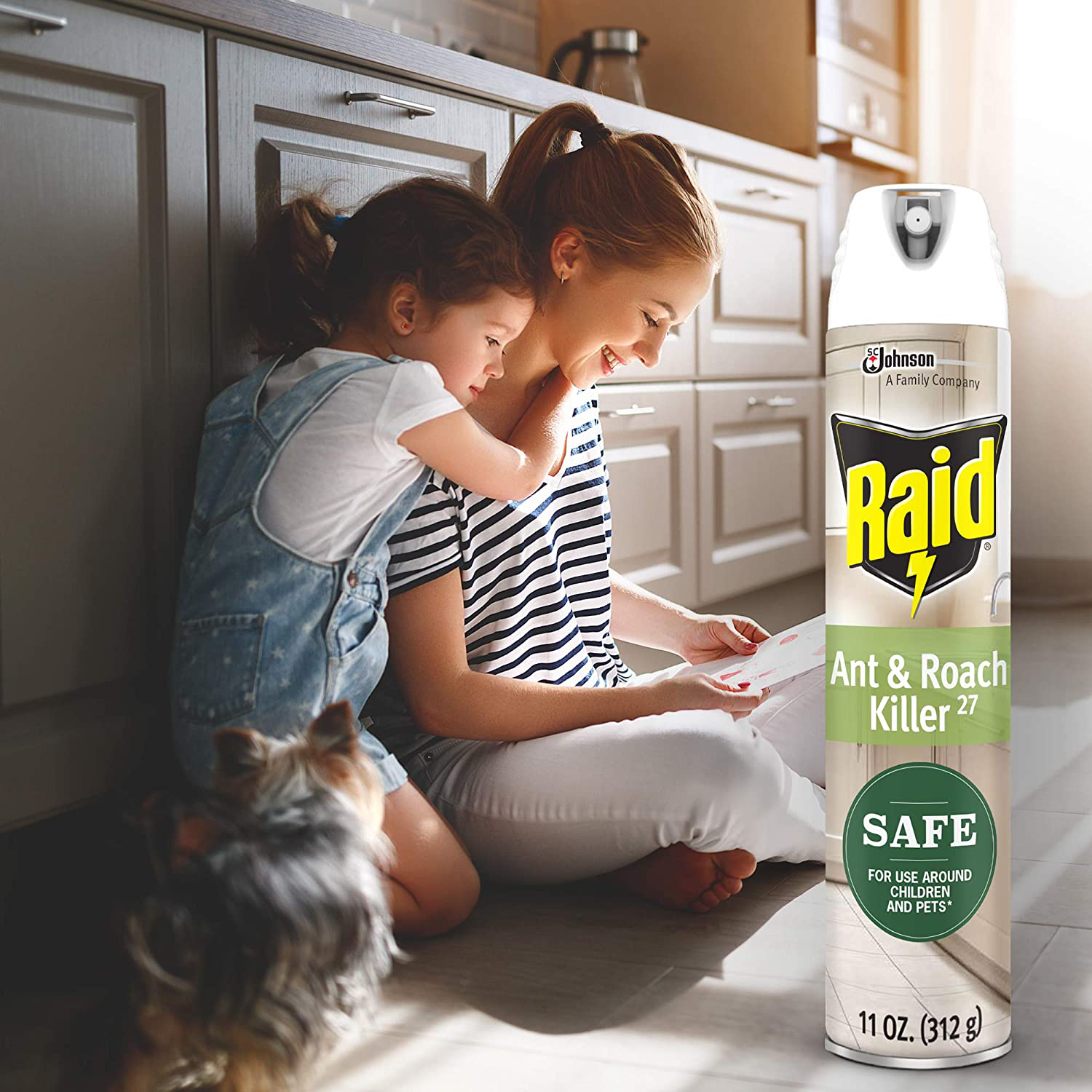 Raid Ant and Roach Killer, Aerosol Spray with Essential Oils (1)