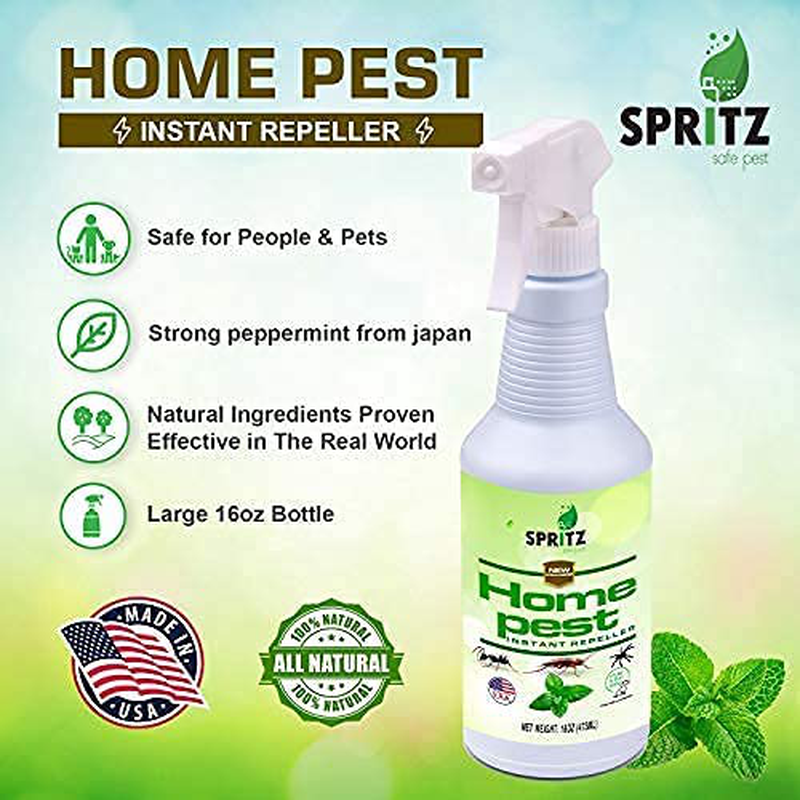 Spritz Home Pest Peppermint Oil Spray for Bugs & Insects | 100% Non-Toxic | Made with Essential Oils - Pet Safe and Effective | Ant, Roach, and Spider Repellent 16oz (2)