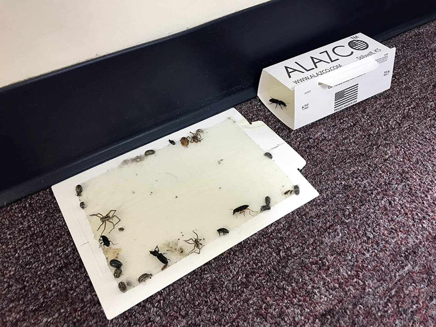 ALAZCO 6 Glue Traps - Excellent Quality Glue Boards Mouse Trap Bugs Insects Spiders, Brown Recluse, Crickets Cockroaches Lizard Scorpion Mice Trap & Monitor Non-Toxic Made in USA