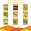 60 Pack Fruit Fly Trap, Fungus Gnat Trap Killer Protect Plants Indoor Outdoor, Double Sided Yellow Bug Sticky Traps for Fungus Gnat, Fruit Fly and Other Insects