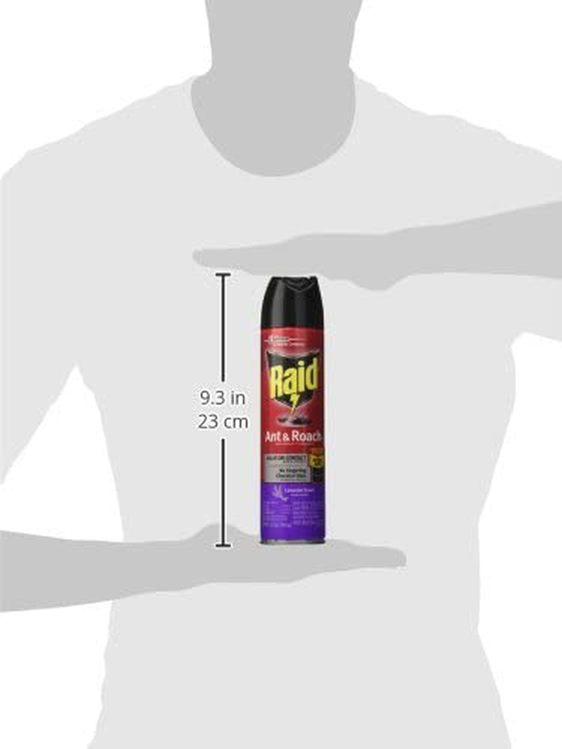 Raid Ant & Roach Killer Spray for Listed Bugs, Insect, Spider, For Indoor Use, Lavender Scent, 12 Oz, Pack of 1