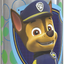 Zak Designs Paw Patrol 15.5oz Stainless Steel Kids Water Bottle with Flip-up Straw Spout - BPA Free Durable Design, Paw Patrol Boy SS