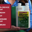 Compare-N-Save Concentrate Indoor and Outdoor Insect Control, 32-Ounce