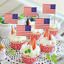 100 Pcs USA American Flag Toothpick Flags,Small Toothpick Mini Stick Cupcake Toppers,Country Picks Party Decoration Celebration Cocktail Picks for Party Bar Sport Events.
