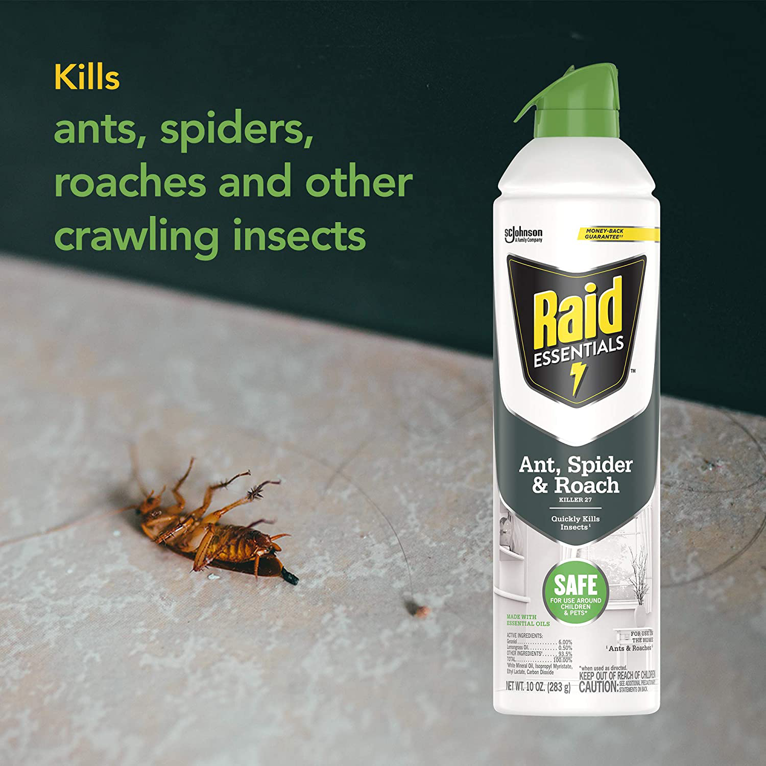 Raid Essentials Ant Spider & Roach Killer, Child & Pet Safe, for Indoor Use, 10 Oz