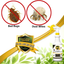 Bed Bug & Dust Mite Killer Natural Spray Treatment for Mattresses, Covers, Carpets & Furniture - Fast Extended Protection. Pet & Kids Safe - No Toxins or Chemicals 128 oz Gallon