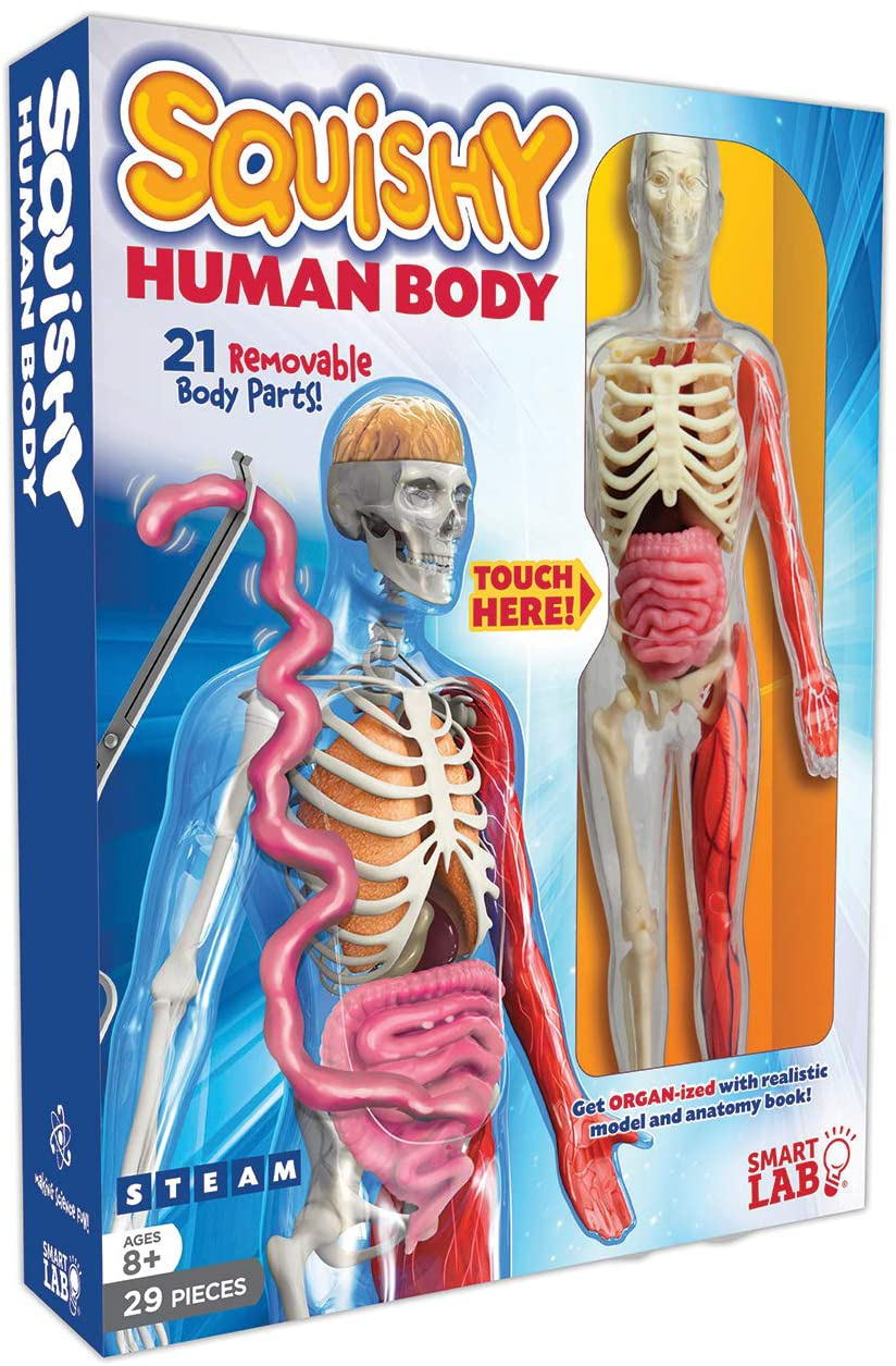 SmartLab Toys Squishy Human Body, Multicolor, Standard