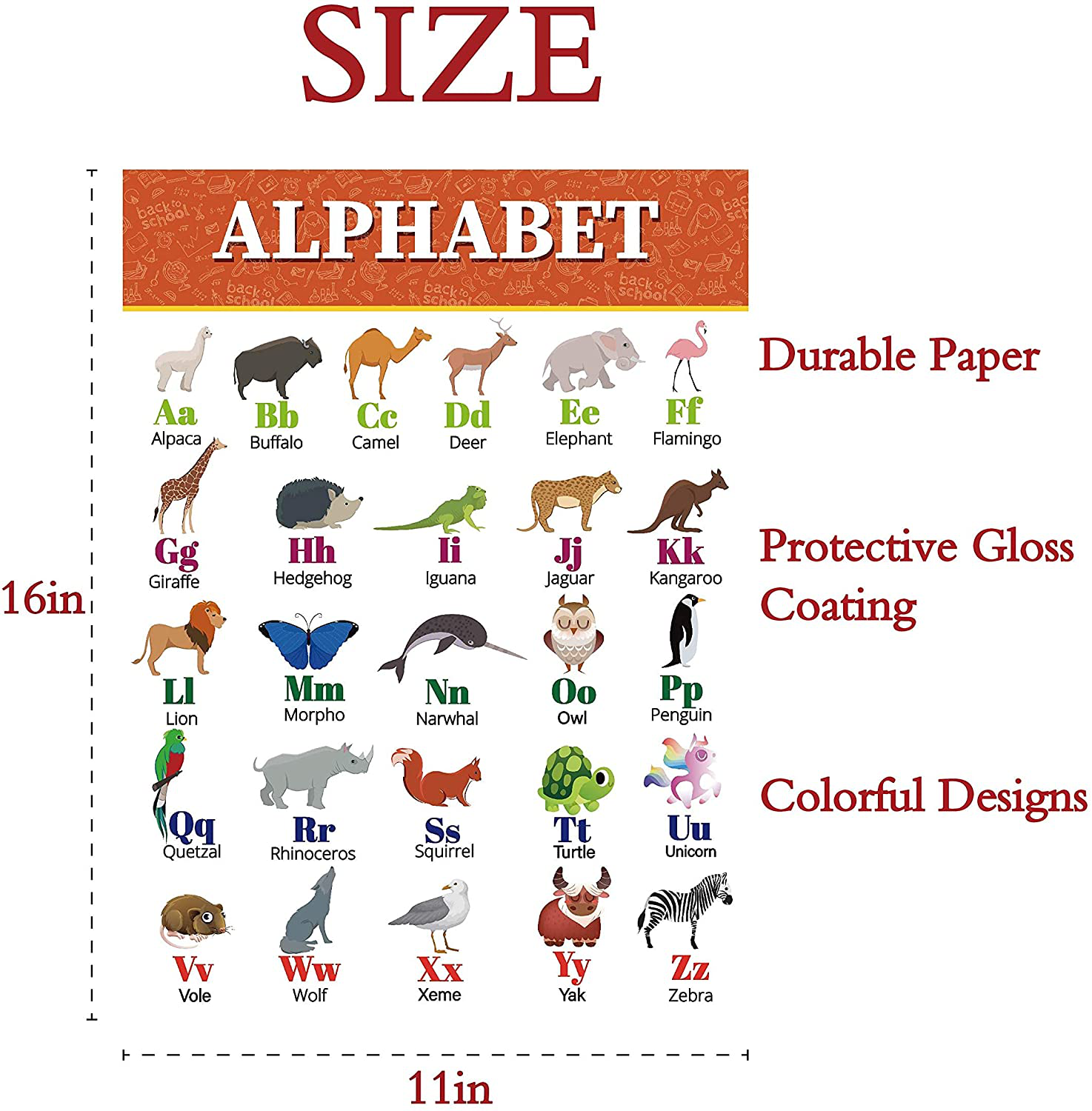 6Educational wall poster,classroom charts wall,abc poster,preschool,abc poster for toddlers wall,classroom poster,preschool learning,toddler learning,learning education,autism materials (16x11'')Glue