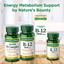 Nature S Bounty Vitamin B12, Supports Energy Metabolism and Nervous System Health, 500Mcg, Tablets, 100 Ct