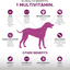 PetHonesty 10 in 1 Dog Multivitamin with Glucosamine - Essential Dog Vitamins with Glucosamine Chondroitin, Probiotics and Omega Fish Oil