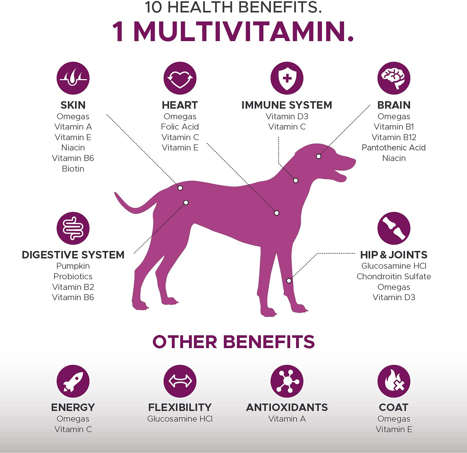 PetHonesty 10 in 1 Dog Multivitamin with Glucosamine - Essential Dog Vitamins with Glucosamine Chondroitin, Probiotics and Omega Fish Oil