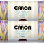 Caron Simply Soft Bulk Buy Paints 100% Acrylic Yarn (2-Pack) ~ 5 oz. Skeins