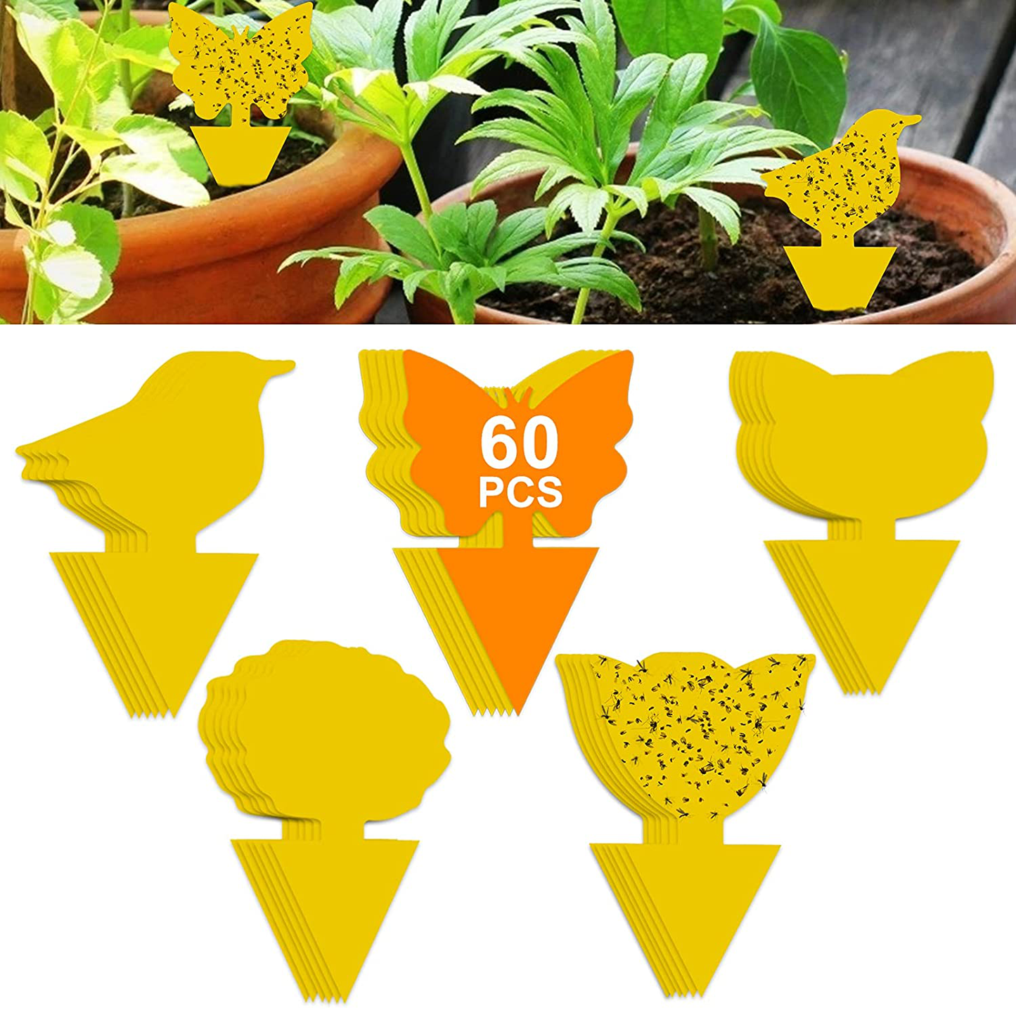 60 Pack Sticky Traps Indoor Plants Fruit Fly Traps, Yellow Sticky Trap Killer for Insects, Fungus Gnat Traps Sticky for House Plants Bugs