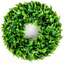 Souarts 17" Eucalyptus Wreath Artificial Greenery Wreath Boxwood, Front Door Green Wreath for Indoor Outdoor, Home Office Wall Wedding Holiday Decor Spring Wreath Summer Wreath