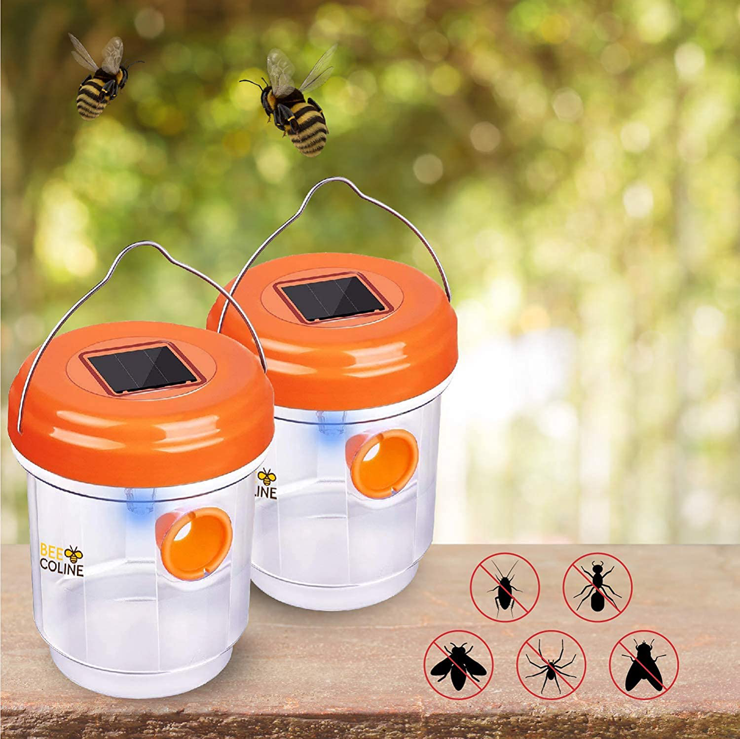 BEE Coline Wasp Trap - Wasp Killer 2 Packs - Fruit Fly Trap for Wasp, Bee, Gnats, Hornets and Flying Insect - Solar Powered Panel Bee Trap Outdoor