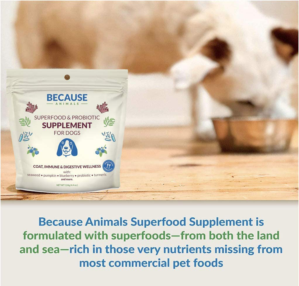 Because Animals Superfood & Probiotic Supplement for Dogs All-Natural, Human-Grade Ingredients Vitamins, Minerals, Antioxidants and More