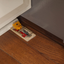 Tomcat Wooden Mouse Traps, 2 Traps/Pack (24-Pack)