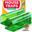 Humane Catch and Release Indoor / Outdoor Mouse Traps Pack of 2 - Easy Set Durable Traps, Safe for Children, Pets and Humans - Instantly Remove Unwanted Vermin from Your Home