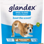 Glandex Anal Gland Soft Chew Treats with Pumpkin for Dogs 30ct Chews with Digestive Enzymes, Probiotics Fiber Supplement for Dogs