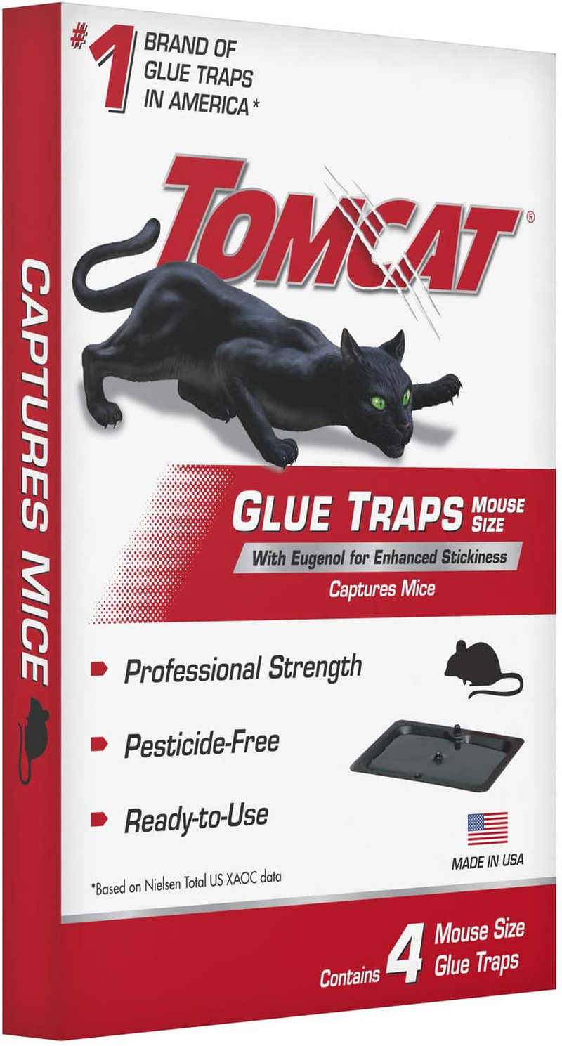 Tomcat 032310 Household Pests, Professional Strength Glue Size with Eugenol for Enhanced Stickiness, Captures Rat An, 4 PK