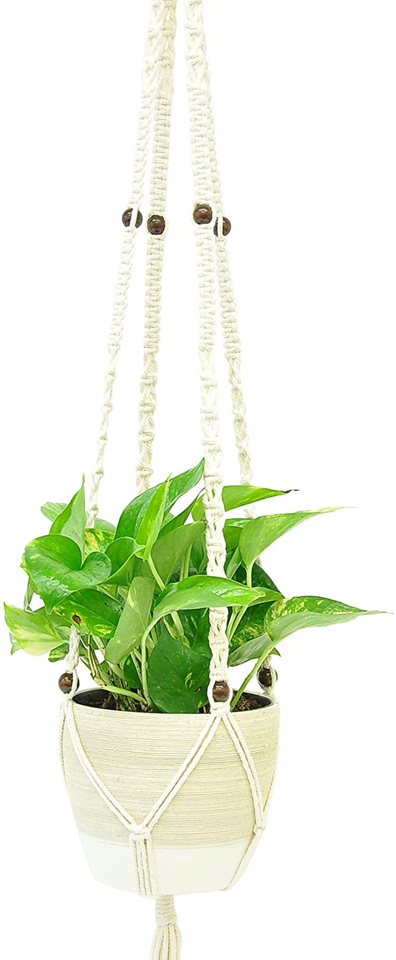 Costa Farms Devil'S Ivy Golden Pothos White-Natural Planter Live Indoor Plant, 10-Inches Tall, Fresh from Our Farm Room Decor
