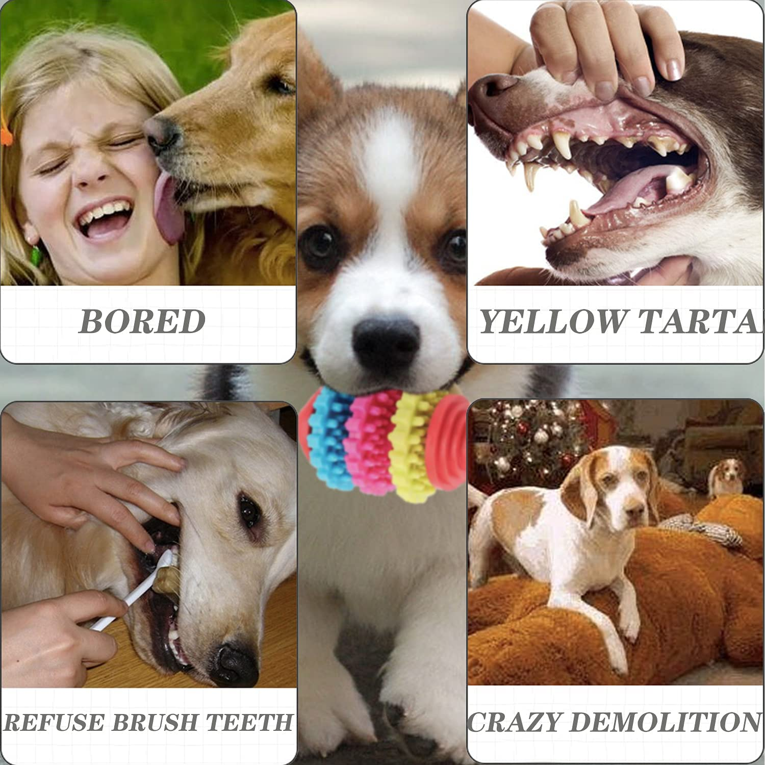 Dog Chew Toys Set Puppy Teething Toys Dog Toys for Small Dogs Toothbrush Teeth Cleaning