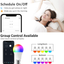 Smart Light Bulbs, Wifi LED Color Changing Lights Dimmable E26 9W Bulb, RGBW 900LM, Soft White (2700K), Compatible with Alexa, Google Home and IFTTT, No Hub Required