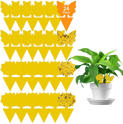 60 Pack Yellow Sticky Traps and Fungus Gnat Traps Killer for Indoor Outdoor, Fruit Fly Traps Protect The Plants