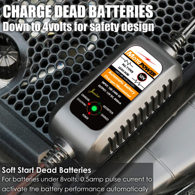 12V 800Ma Automatic Battery Charger, Battery Maintainer, Trickle Charger, and Battery Desulfator