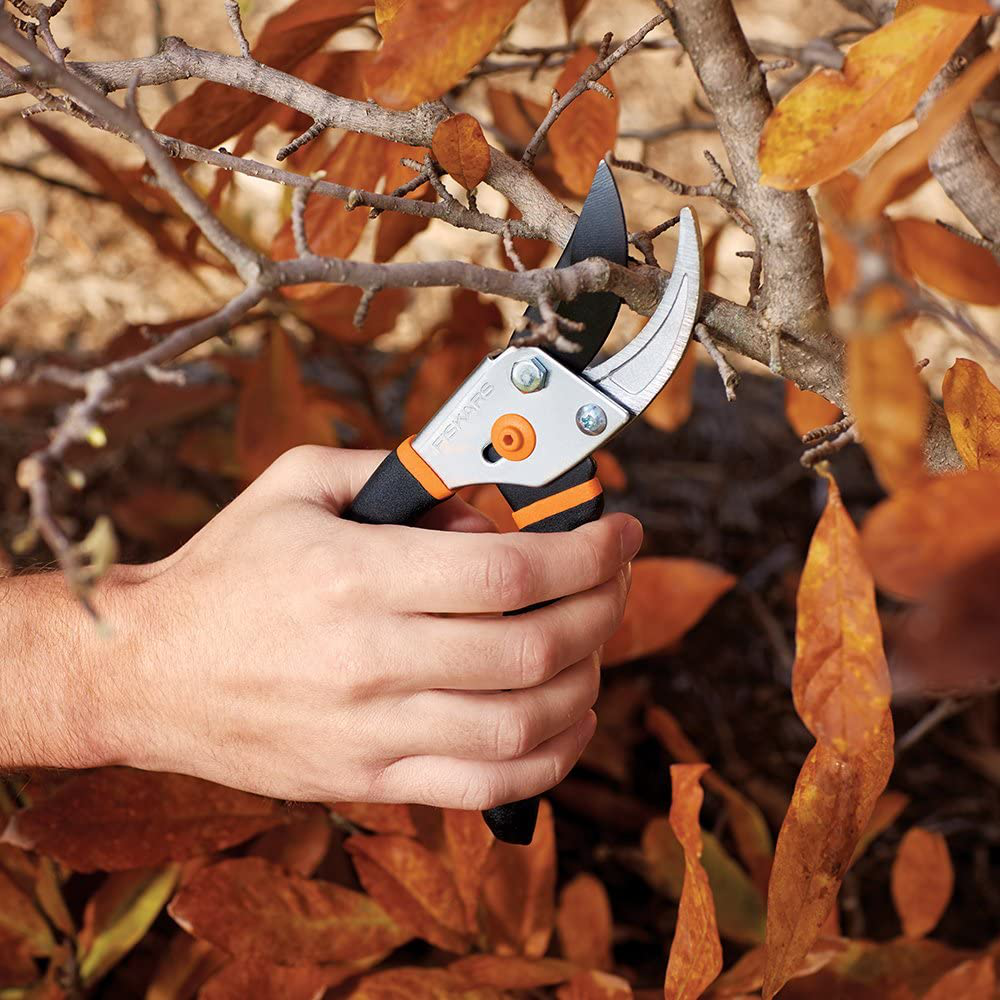 Fiskars 91095935J Steel Pruning Shears Bypass Pruner, 1