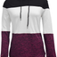 Topstype Women's Pullover Long Sleeve Fall Hoodies Color Block Tunics Loose Casual Sweatshirts