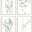 Haus and Hues Botanical Plant Wall Art Prints - Set of 4 Plant Wall Decor Prints Floral Kitchen Flower Leaves Wall Art Boho Leaf Eucalyptus (UNFRAMED) (11x14)