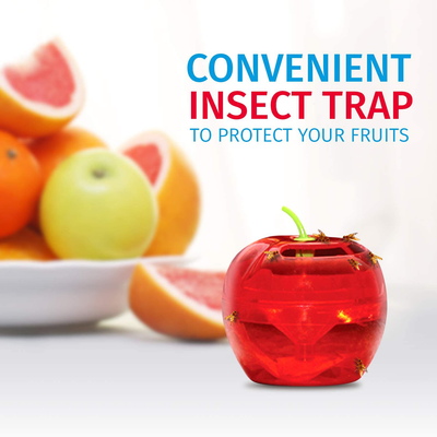 Raid Fruit Fly Trap (2 Pack Bundle) | 2 Lures + 2 Refills | Effective Fly Trap for Indoor Use | Fly Catcher and Gnat Trap for Kitchen & Dining Areas | Easy to Use & Safe Food-Based Lure Fly Catcher