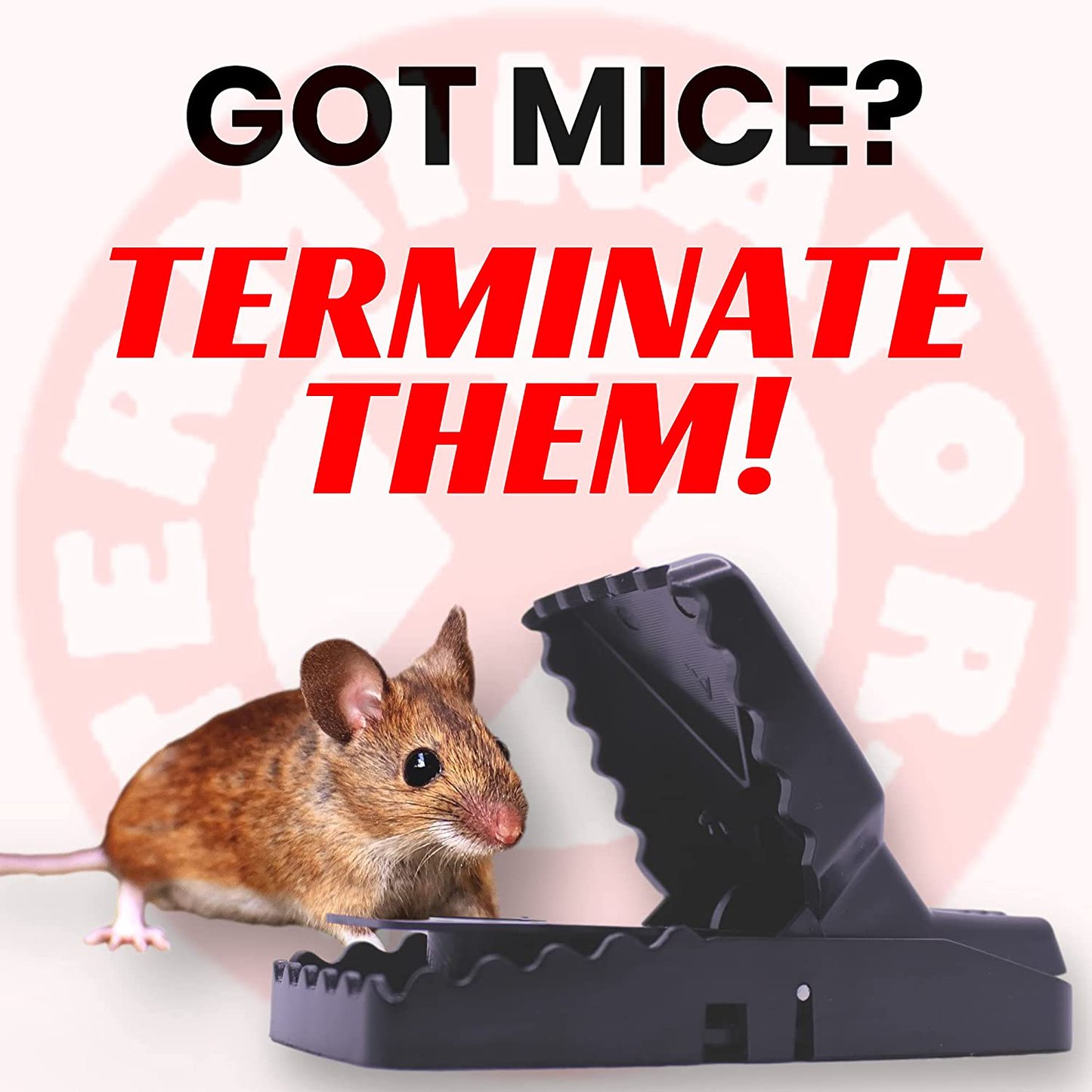 Mouse Traps - Mouse Traps Indoor for Home - Best Mice Traps for House - Mouse Traps No See Kill -Small Reusable Snap Mousetrap That Work Outdoor - Rat Trap for House - Rat Killer - Pest Control Traps