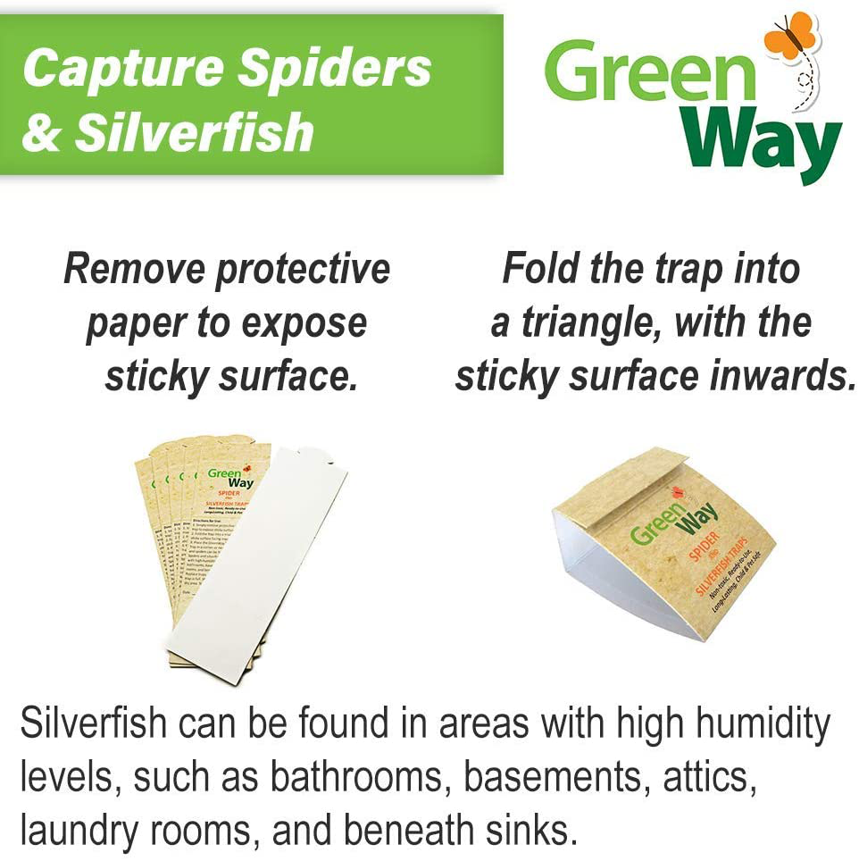 Greenway Spider & Silverfish Trap - 6 Prebaited Traps | Ready to Use Heavy Duty Glue, Safe, Non-Toxic with No Insecticides or Odor, Eco Friendly, Kid and Pet Safe