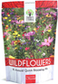 Wildflower Seeds Annual Quick Blooming Mix - Large 1 Ounce Packet over 7,500 Open Pollinated Seeds