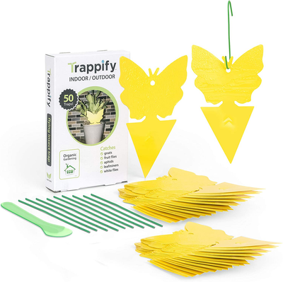 Trappify Sticky Fruit Fly and Gnat Trap Yellow Sticky Bug Traps for Indoor/Outdoor Use - Insect Catcher for White Flies, Mosquitos, Fungus Gnats, Flying Insects - Disposable Glue Trappers (50)