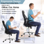 Lumbar Support, Car Lumbar Support with Double Breathable Mesh, Back Lumbar Support for Car and Office Chair ( Black 2 Pack)