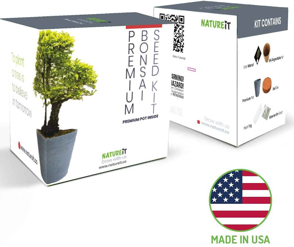 Bonsai Tree Seed Starter Kit. Bonsai Pot Included. Indoor & Outdoor DIY Beginners Easy Grow Craft & Hobby Gardening Set for Women & Men of All Ages. Unusual Housewarming Gift for Plant Lovers