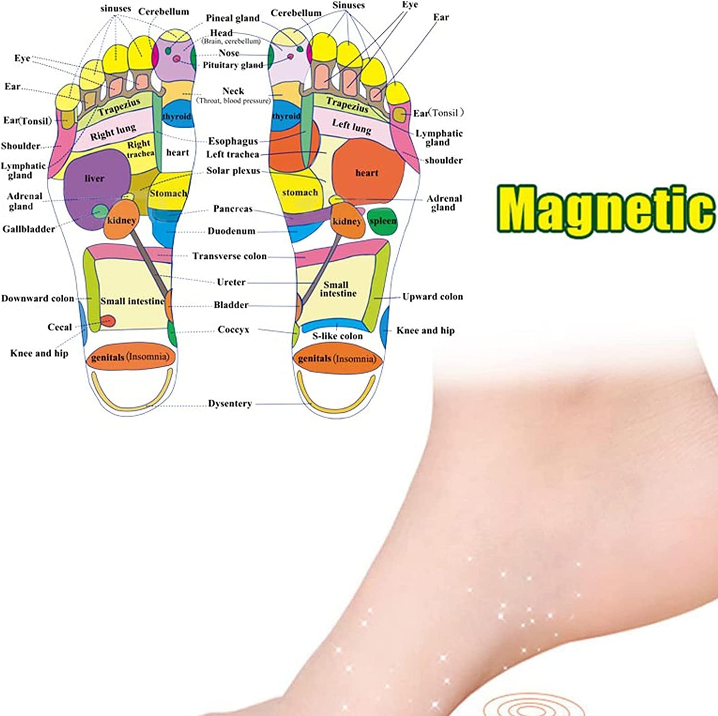 3 Pairs Acupressure Magnetic Massage Insoles, Oumers Foot Massage Shoe-Pad Foot Therapy Reflexology Pain Relief Shoe Insoles,Transparent (US M:7-9 W:8-10)